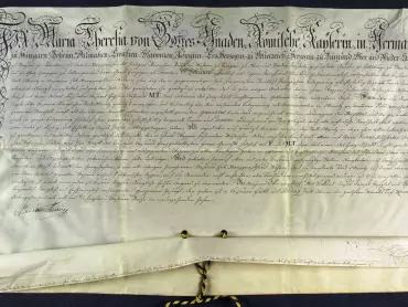 Privilegium Marie Terezie pro město Olomouc ze dne 12. listopadu 1958 http://digi.archives.cz/da/permalink?xid=180597A0B53549AD8D53767F543D6C33&scan=2